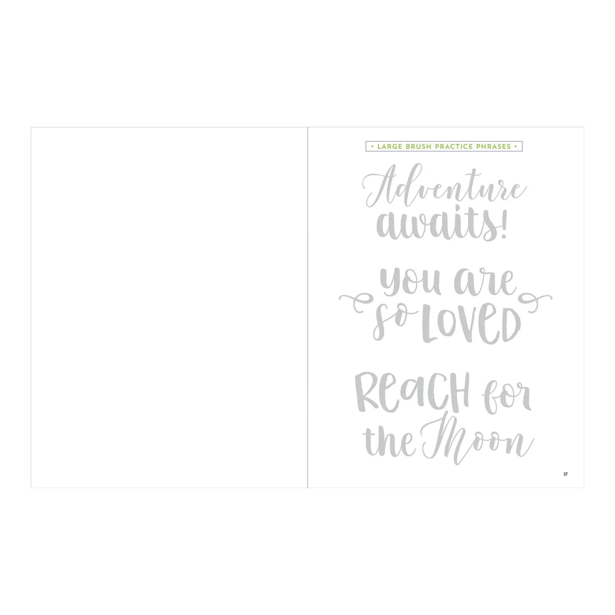 Brush Lettering Workbook