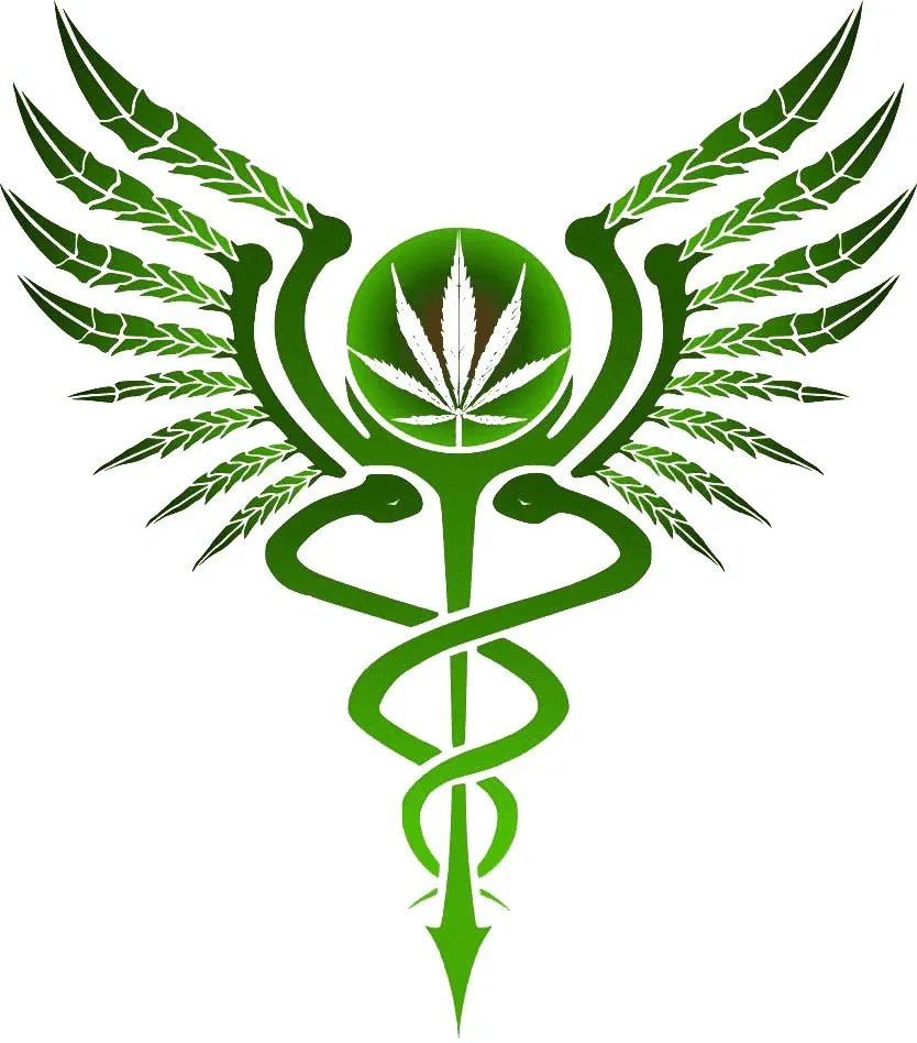 Doctor Consultation Follow-Up