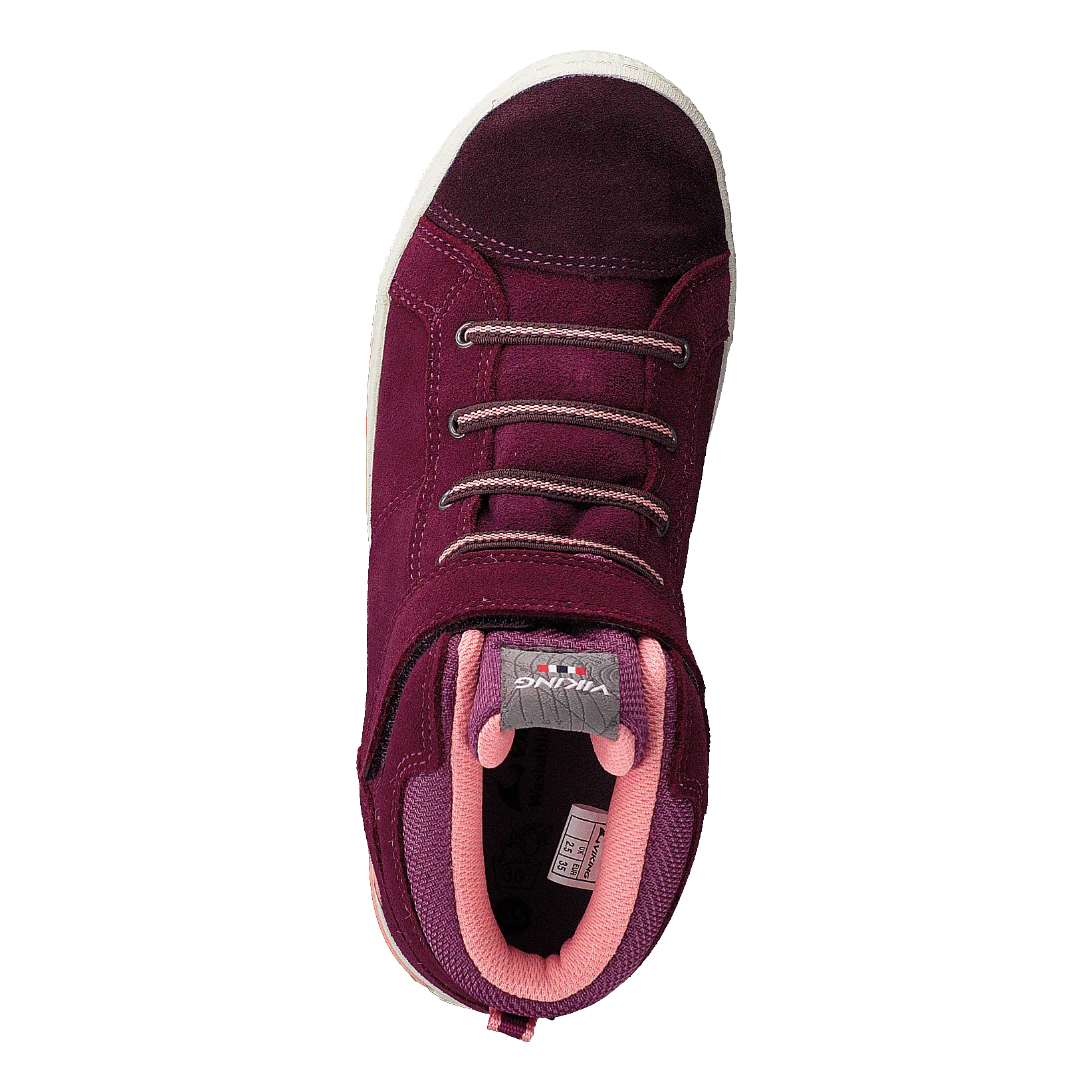 Falcon Plum