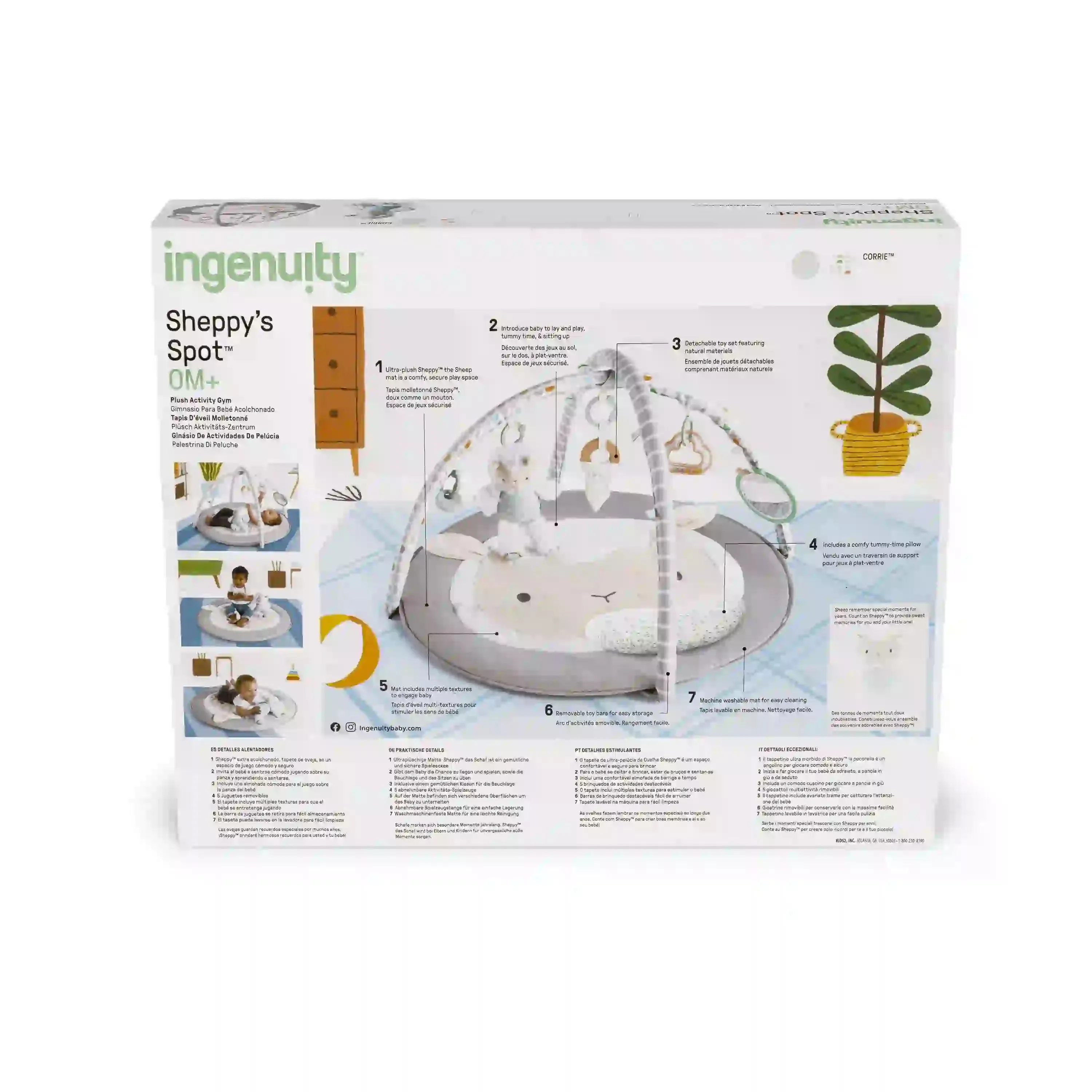 Ingenuity Plush Euro Gym