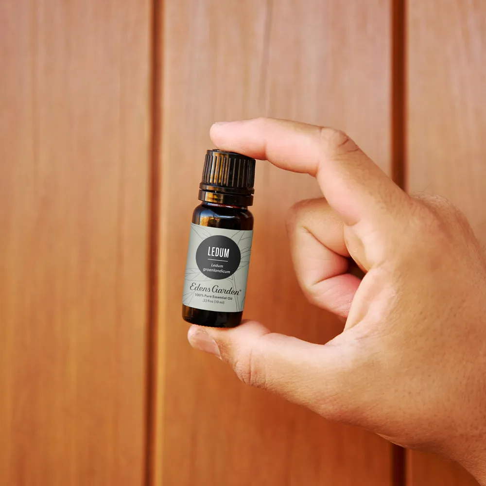 Ledum Essential Oil