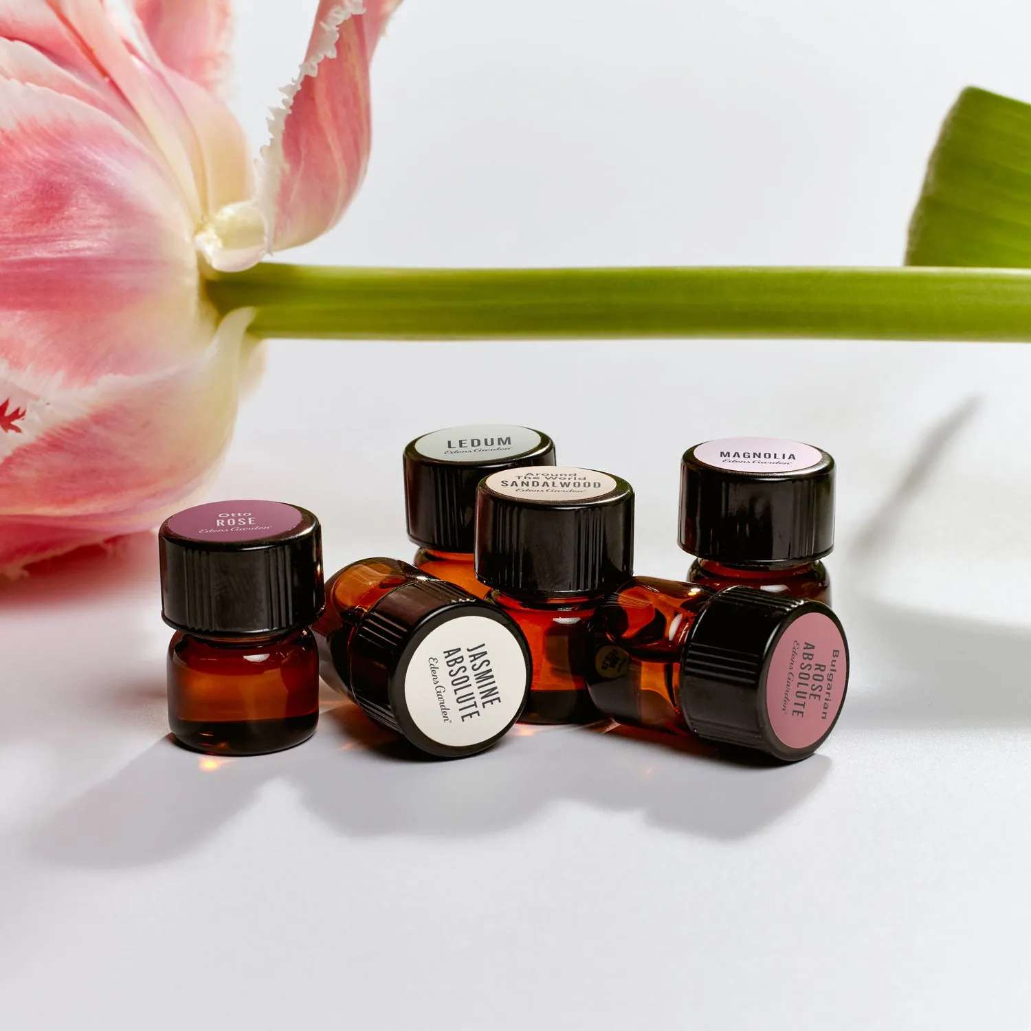Ledum Essential Oil