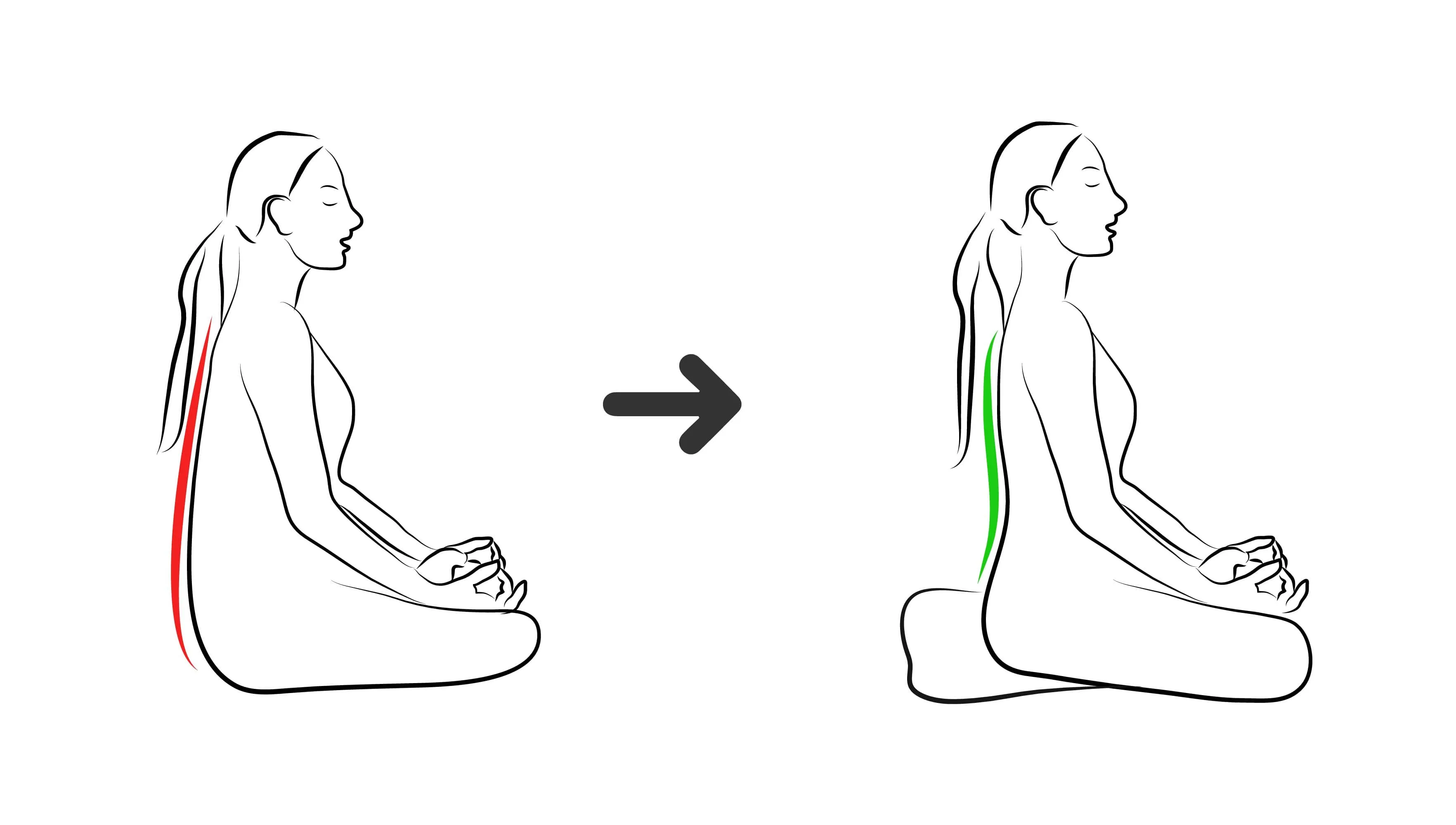 Meditation Cushion - Mindful Jungle