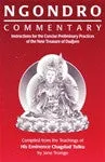 Ngondro Commentary