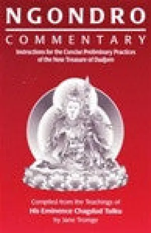 Ngondro Commentary