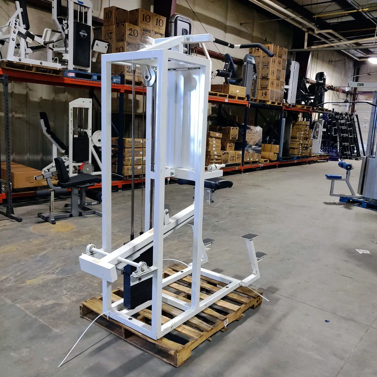 Pulse Assisted Dip/Chin-Up Combo