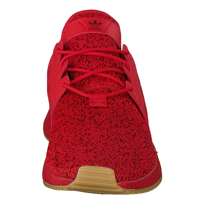 X_plr Scarle/scarle/gum3