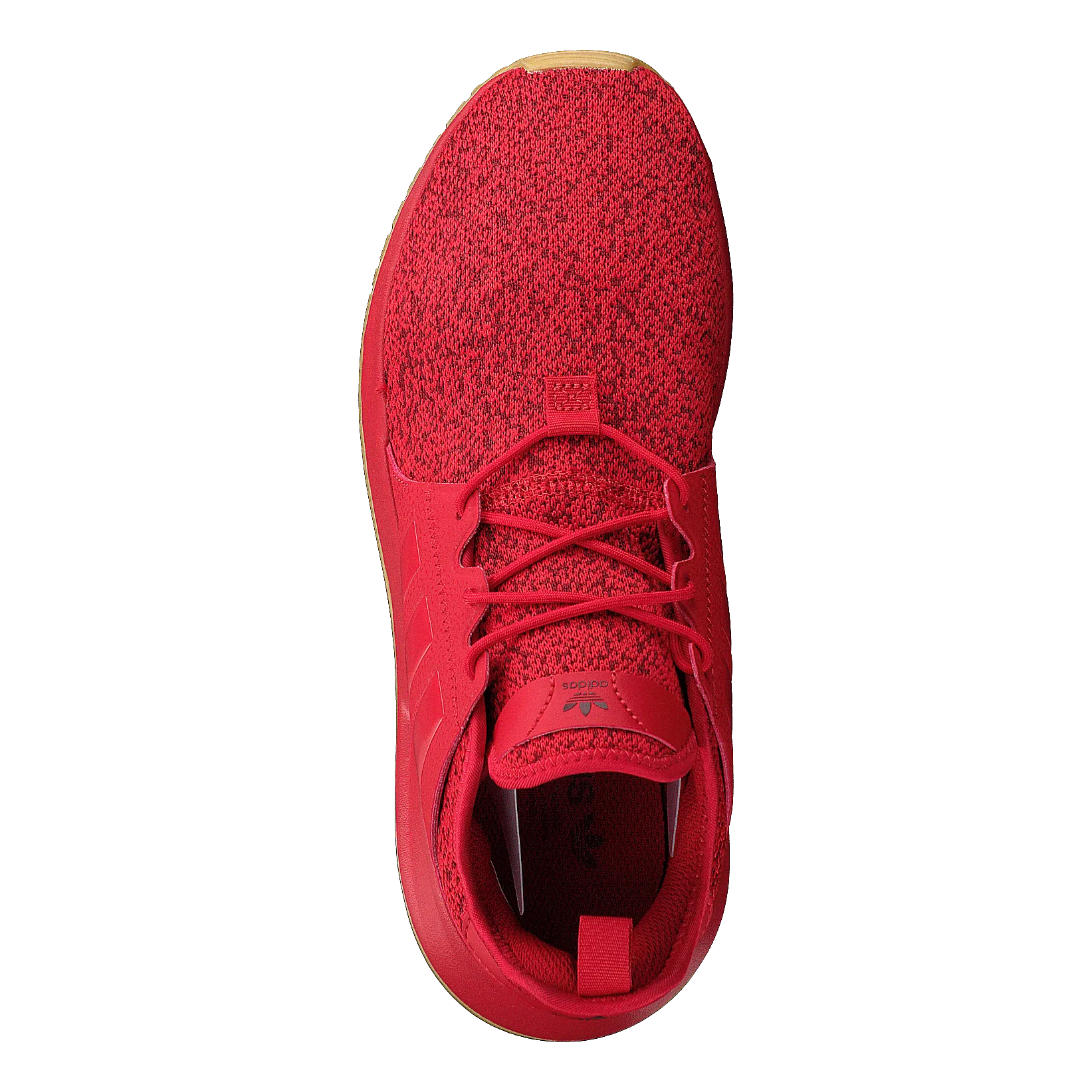 X_plr Scarle/scarle/gum3