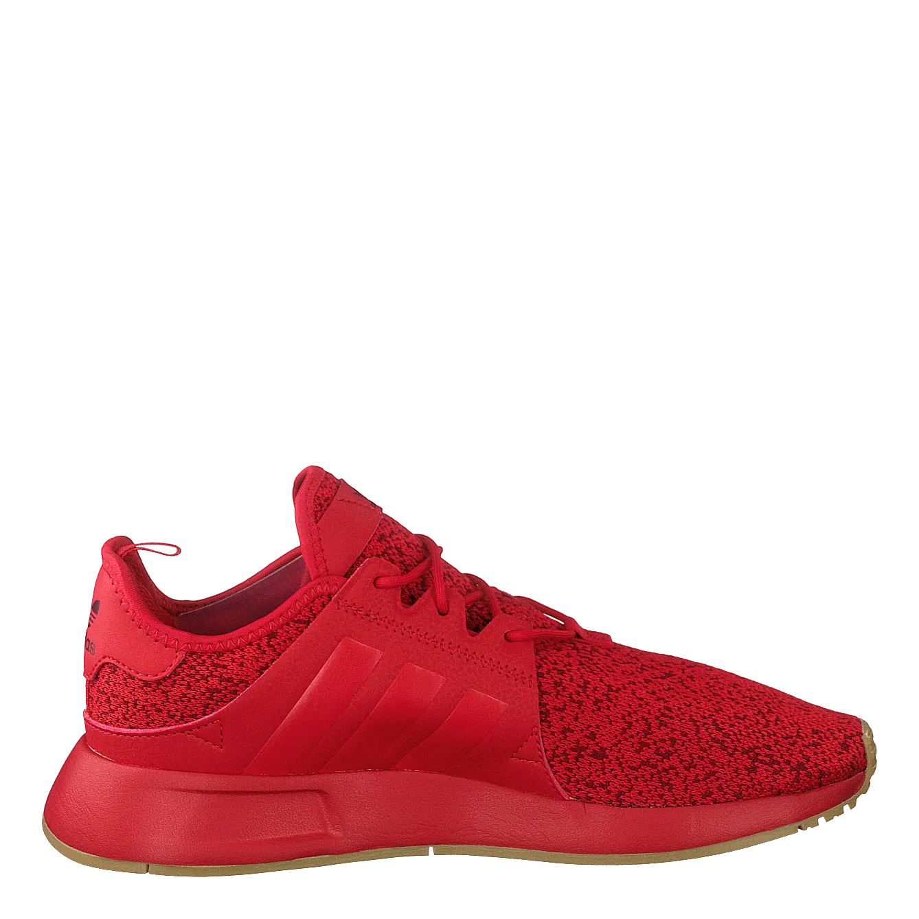 X_plr Scarle/scarle/gum3