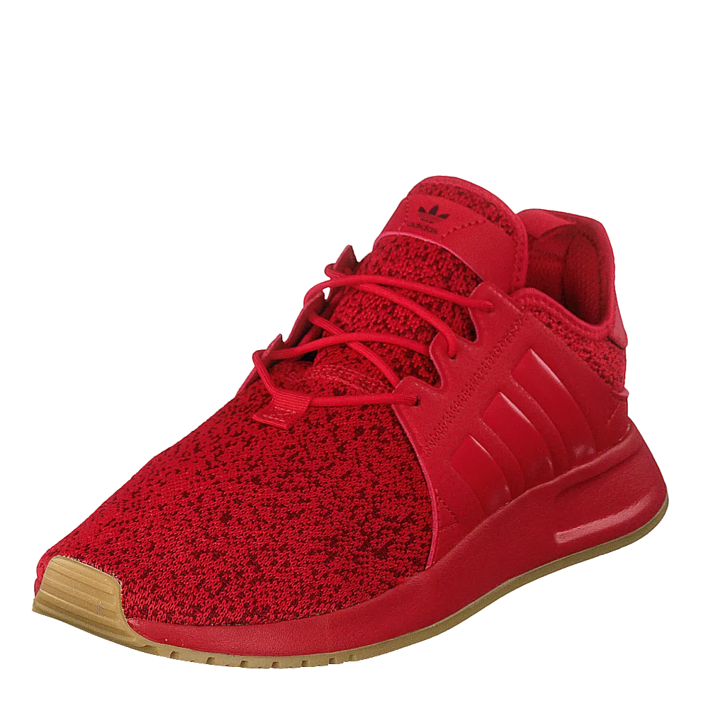 X_plr Scarle/scarle/gum3